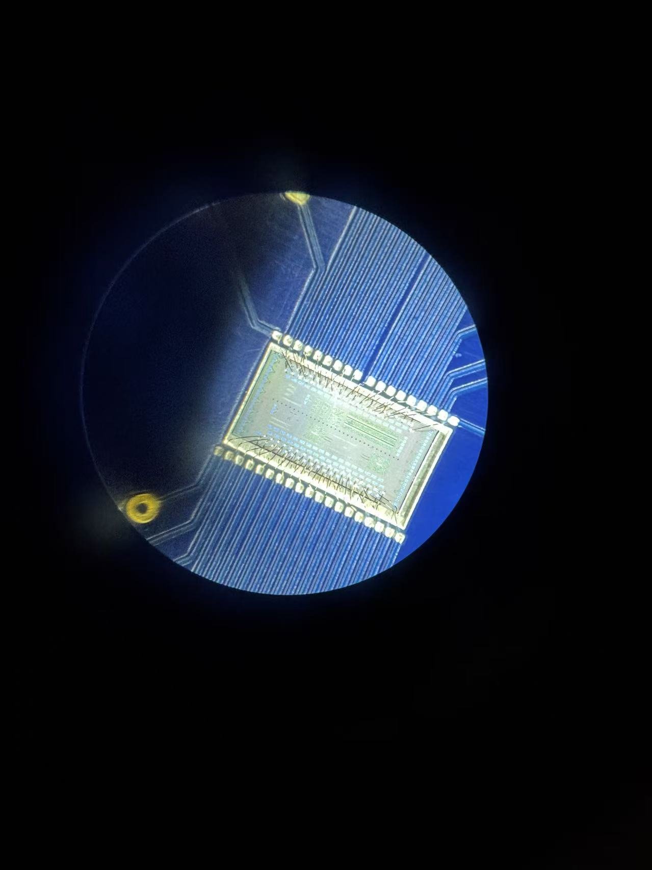 Wider macro perspective of a wire-bonded microchip mounted on a blue PCB, with the parallel trace network fanning outward toward gold fiducial markers.